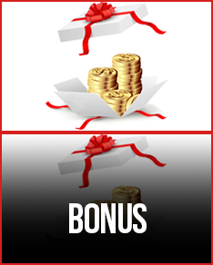 Bonus